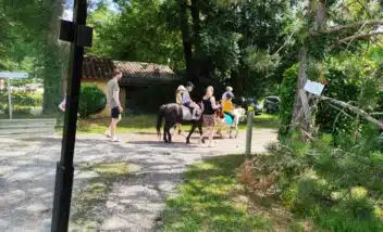 poneys-camping-dordogne-le-douzou-proche-domme