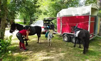 poneys-camping-vallée-du-céou-domme